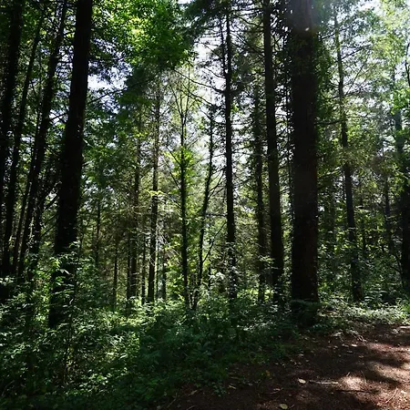 La Maison Du Thore * Saint-Amans-Valtoret