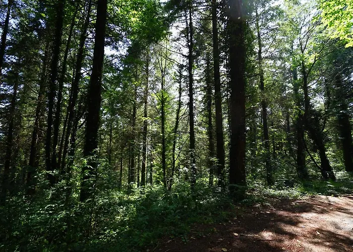 La Maison Du Thore * Saint-Amans-Valtoret