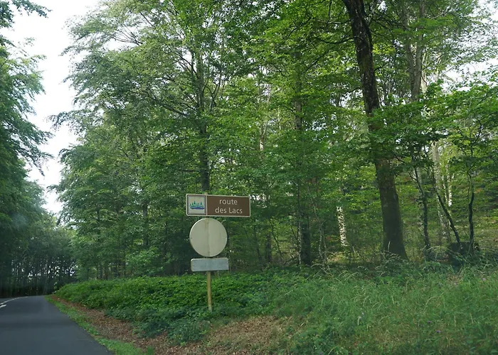 La Maison Du Thore Tatil Evi Saint-Amans-Valtoret